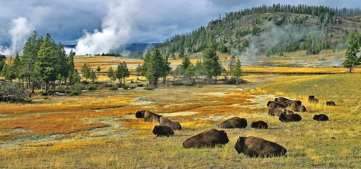 yellowstone-national-park-5BNS1455
